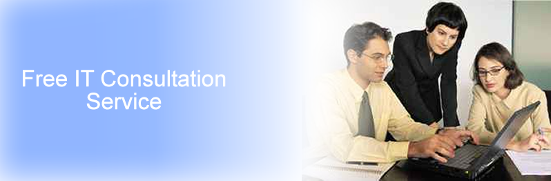 IT Consultation